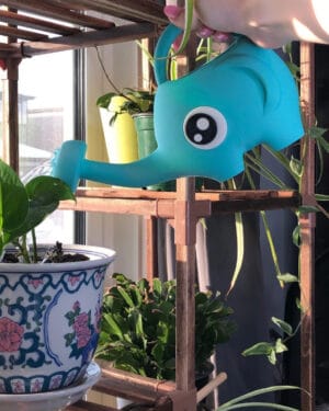 Regadera Elefante Animal Crossing